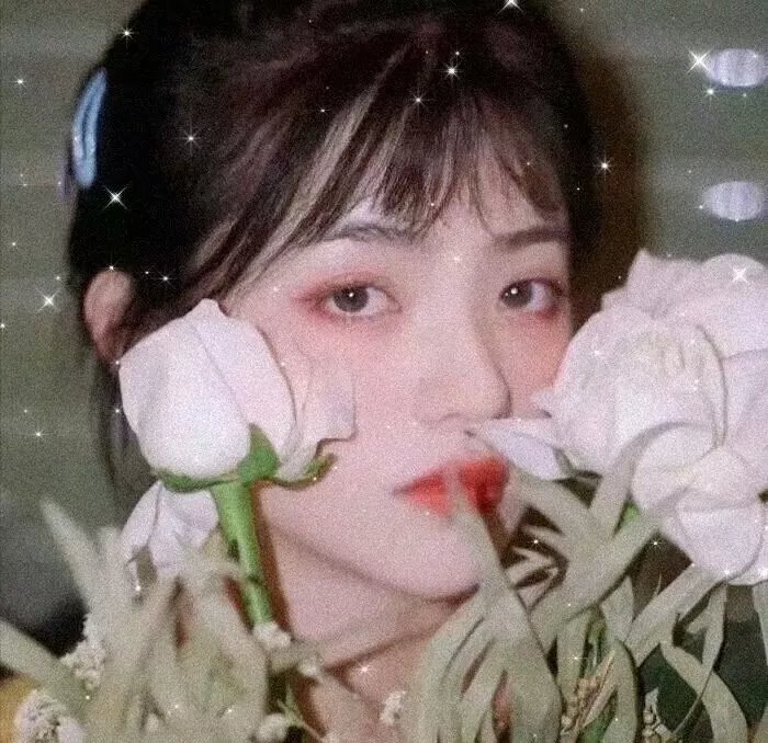 战地青春之歌